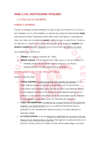 TEMA 5 ROMANO.pdf