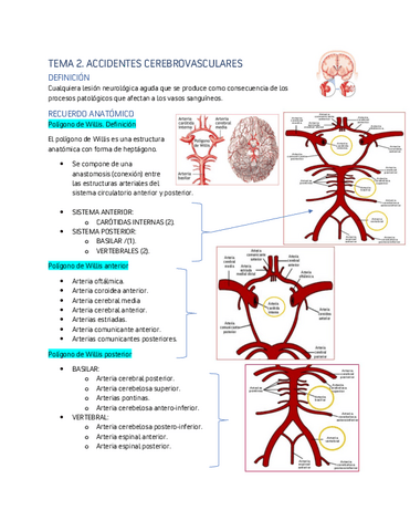 TEMA-2-ACV.pdf