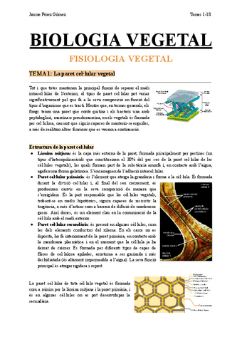 FV-Temes-1-18.pdf