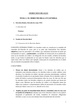 DERECHOS REALES.pdf