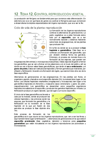 Tema-12.pdf