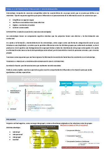 TEMA-6.pdf