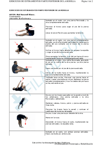 ESTIRAMIENTOSPARTEPOSTERIORRODILLA.pdf