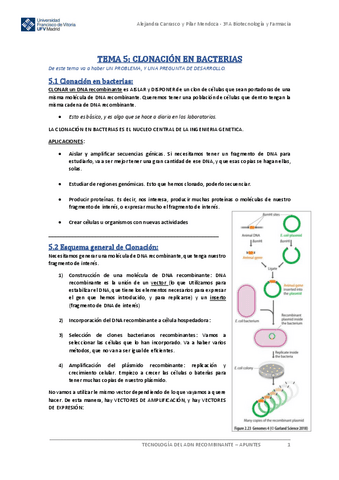 TEMA-5-TAR.pdf