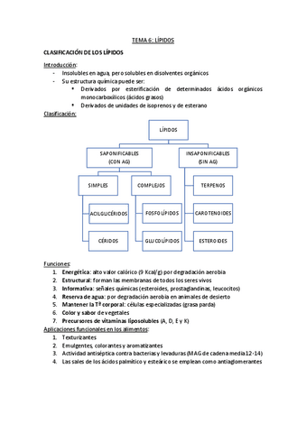 Apuntes-Tema-6.pdf