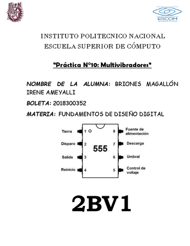 2BV1Practica10BrionesMagallonIreneAmeyalli.pdf