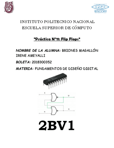 2BV1Practica11BrionesMagallonIreneAmeyalli.pdf