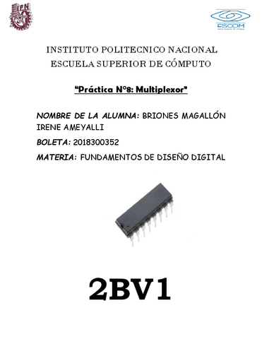 2BV1Practica8BrionesMagallonIreneAmeyalli.pdf