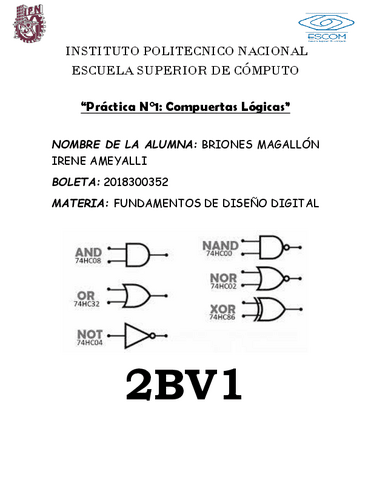 2BV1Practica1BrionesMagallonIreneAmeyalli.pdf