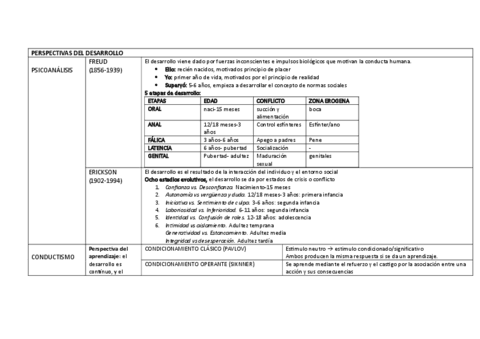 DESARROLLO-ESQUEMA-RESUMEN.pdf