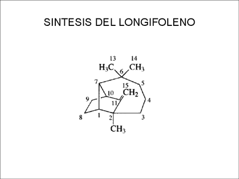 TEMA-8.-SINTESIS-DEL-LONGIFOLENO.pdf
