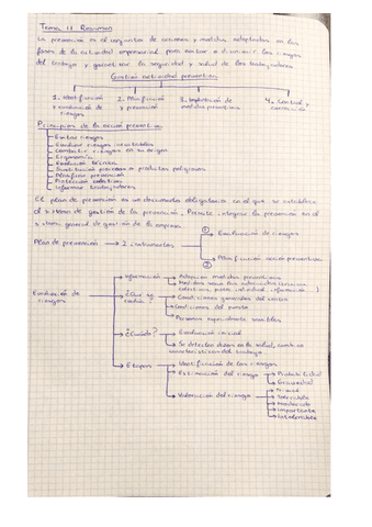 Tema-11.pdf