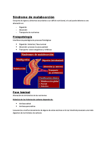 5.-sindrome-de-malabsorcion.pdf
