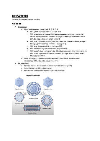 13.-Hepatitis.pdf