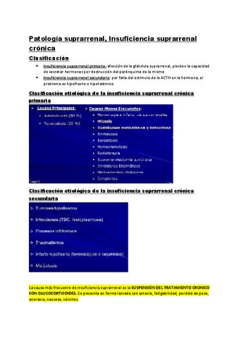 4.-Patologia-suprarrenal-Insuficiencia-Addison.pdf