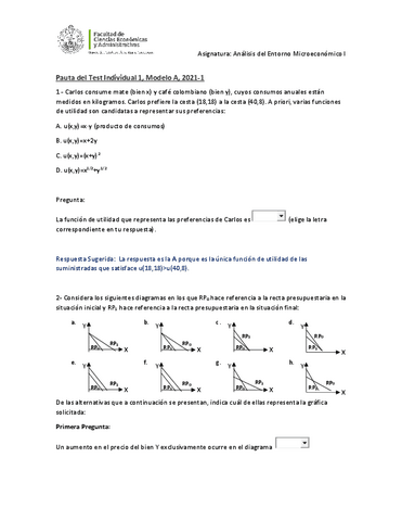 Pauta-Test-Individual-1.pdf