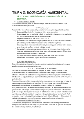 TEMA 2completo ECONOMIA.pdf