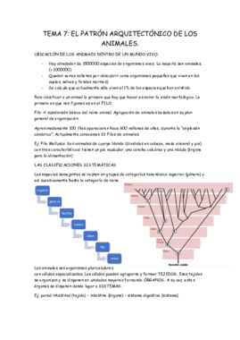 TEMA 7 biologia.pdf