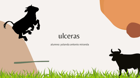 ulceras-por-presion.pdf