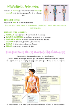 Microbiota.pdf