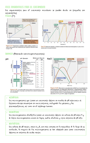 Bacteriologia-2.pdf