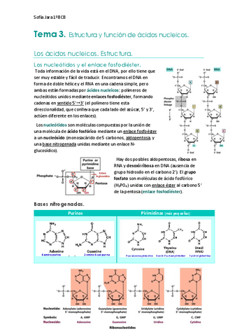 Tema-3.-Estructura-y-funcion-de-acidos-nucleicos.pdf