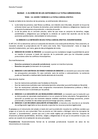 tema-12-accion-y-derecho-a-la-tutela-judicial-efectiva.pdf