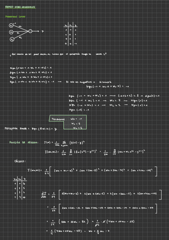 Repaso-Redes-Neuronales.pdf