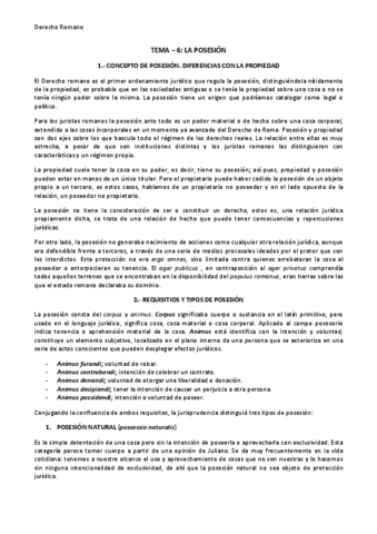 tema-6-la-posesion.pdf