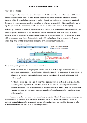 7.-VIRUS-ONCOGENICOS.pdf