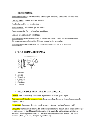 recopilacion-preguntas-angiospermas.pdf
