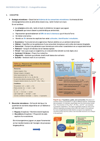 T20EcologiaMicrobiana.pdf