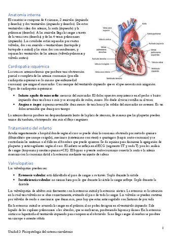 Apuntes-unidad-3.pdf