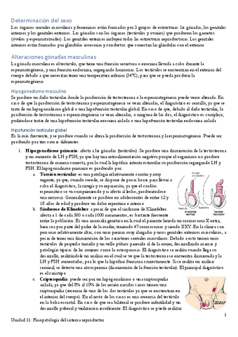 Apuntes-Unidad-11.pdf