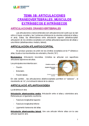 TEMA-5B-ANATOMIA.pdf