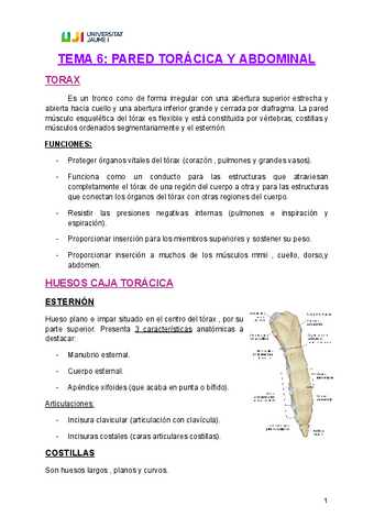 Tema-6.-Pared-toracica-y-abdominal.pdf