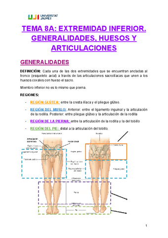 TEMA-8A-EXTREMIDAD-INFERIOR.pdf