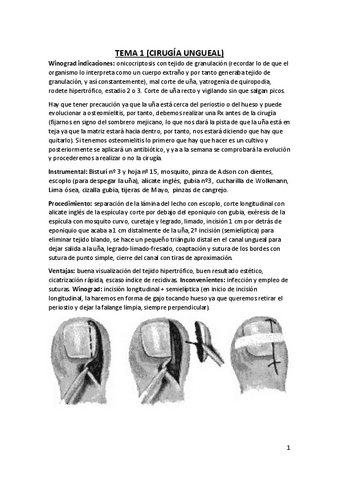 Cirugia-2-temas.pdf