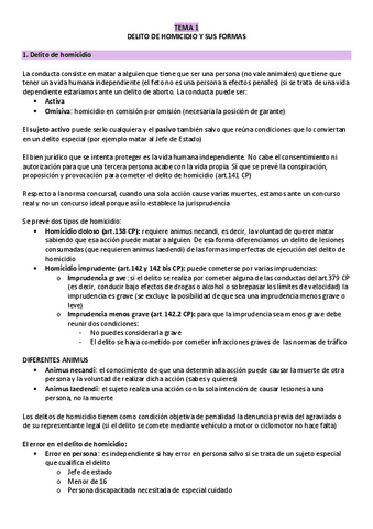 DERECHO-PENAL.pdf