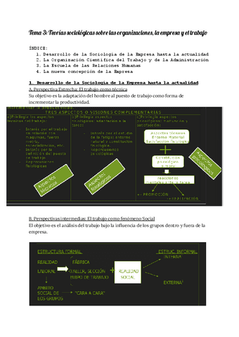 Tema-3-Teorias-sociologicas-sobre-las-organizaciones-la-empresa-y-el-trabajo.pdf