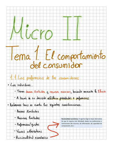 Apuntes-Microeconomia-II.pdf