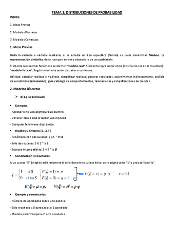 TEMA-1-ES2.pdf