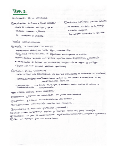 Direccion-en-Tecnicas-de-Venta-TEMA-3.pdf