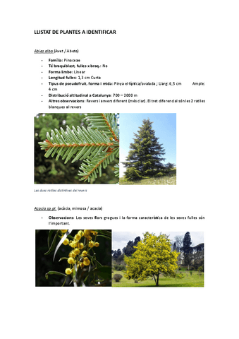 TOT-el-Llistat-de-plantes-a-identificar-explicat-BOTANICA.pdf