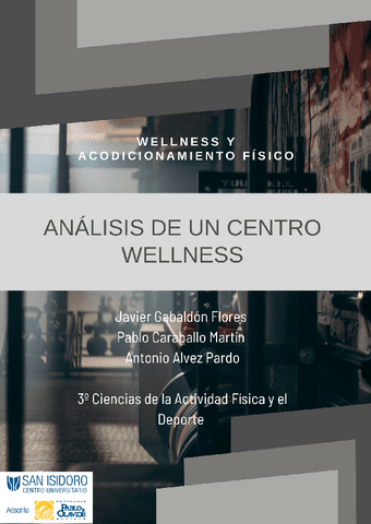 PROYECTO-1-ANALISIS-DE-UN-CENTRO-WELLNESS.pdf