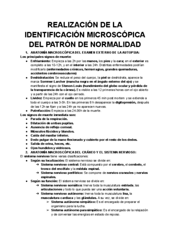 3.-REALIZACION-DE-LA-IDENTIFICACION-MICROSCOPICA-DEL-PATRON-DE-NORMALIDAD.pdf