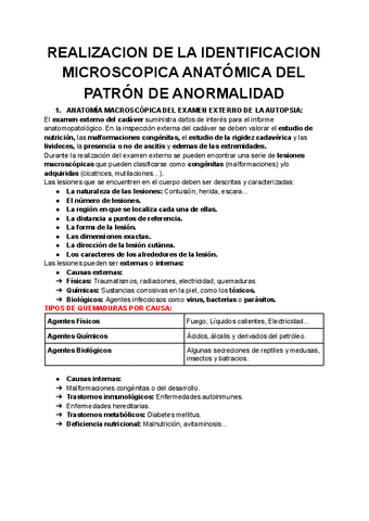 4.REALIZACION-DE-LA-IDENTIFICACION-MICROSCOPICA-ANATOMICA-DEL-PATRON-DE-ANORMALIDAD.pdf
