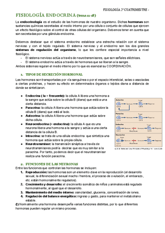fisio-2o-cuatri-ENDOCRINOLOGIA.pdf
