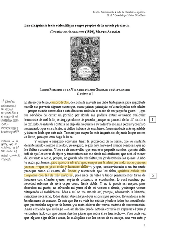 T2-Guzman-de-alfarache.pdf