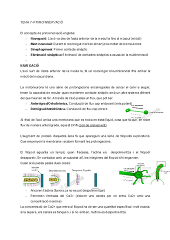 Apunts-SME-2n-parcial-2.pdf